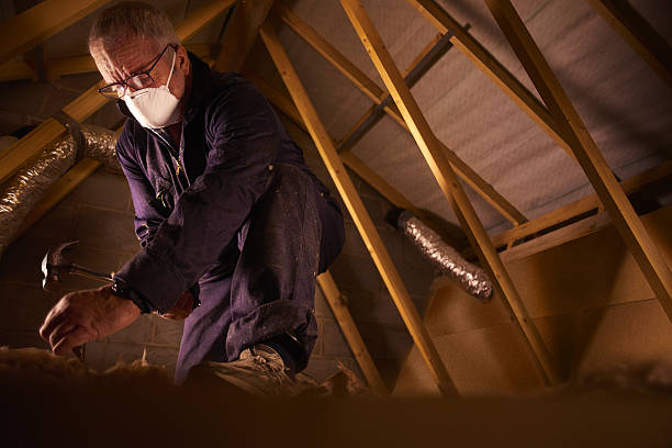 Best Geographic-Specific Insulation Services in Monroeville, OH