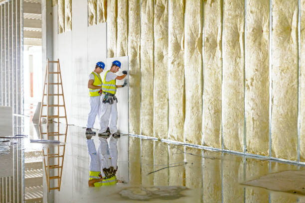 Best DIY Insulation Kits and Guidance in Monroeville, OH